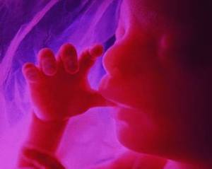 donjohnsonministries.org