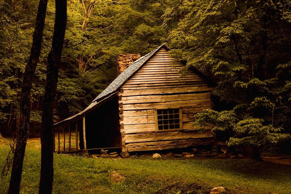 Picture of an old cabin the woods.