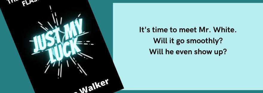 The Adventures of Flahspoint Just My Luck Anissa Walker Chapter 11: The Meet It's time to meet Mr. White. Will it go smoothly? Will he even show up?